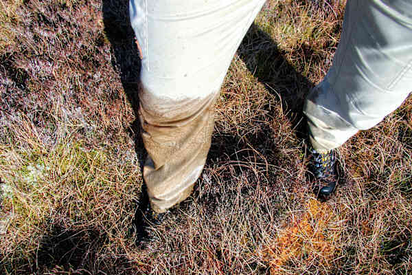 Eine Woche in Schottland: Wandern auf der Isle of Skye