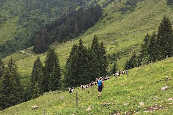 Bergwelten Hüttenwoche Saalbach Hinterglemm