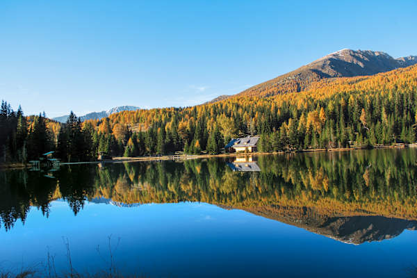 Der Prebersee umringt von herbstlichen Lärchenwäldern