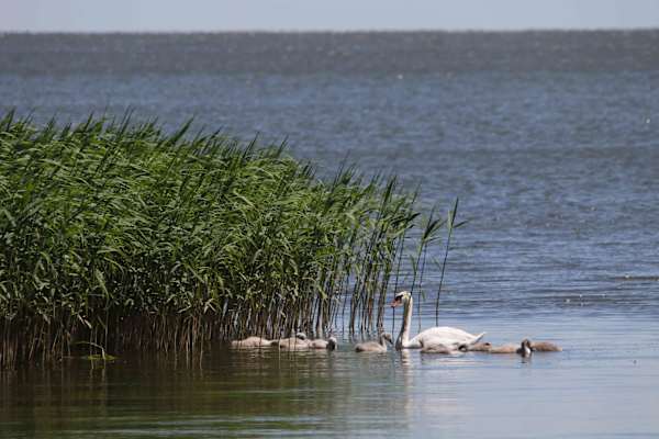 Kurische Nehrung Reise