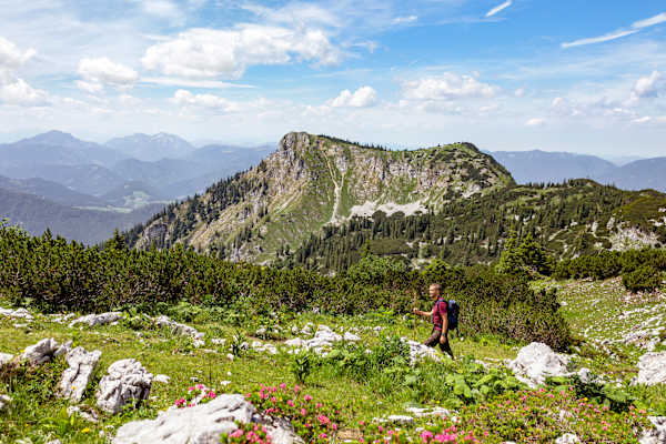 Unterwegs auf dem Luchs Trail im Wildnisgebiet Dürrenstein in Niederösterreich