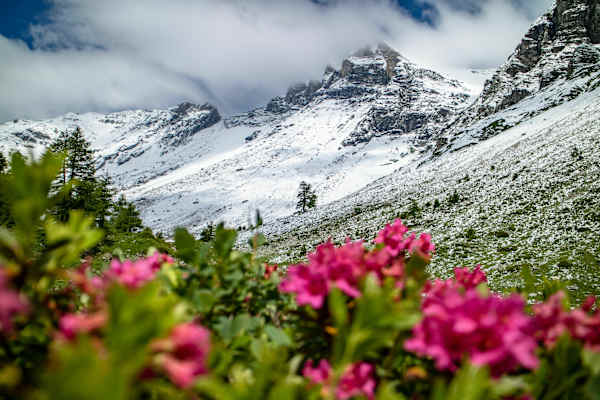 Vordere Grauspitze in Liechtenstein