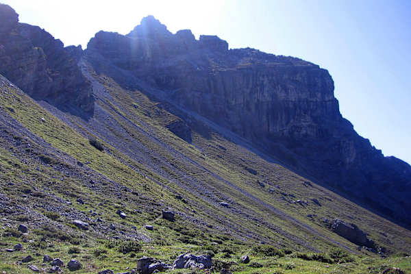 Roggelskopf im Lechquellengebirge