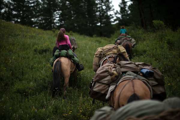 Pferdetrekking Mongolei