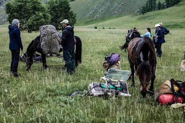 Pferdetrekking Mongolei