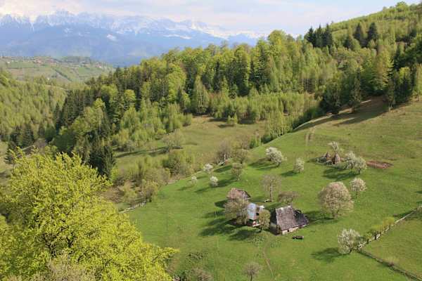 Reise Rumänien Karpaten Piatra Craiului Nationalpark