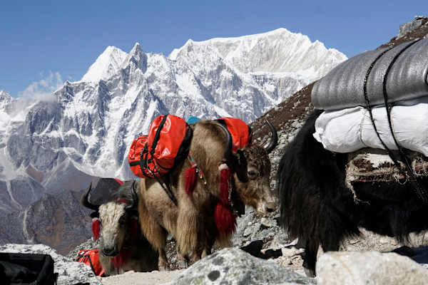 Manaslu - Berg der Seelen