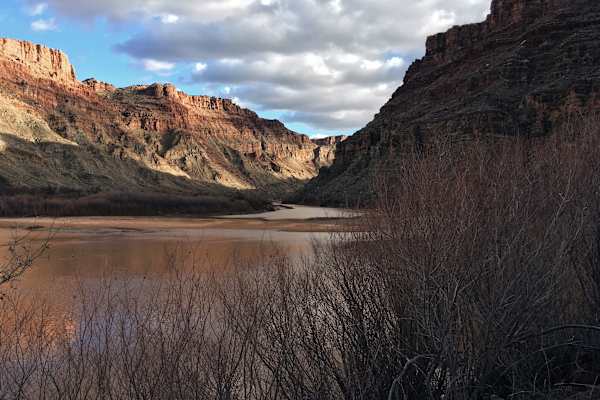 Ana Zirner Colorado River