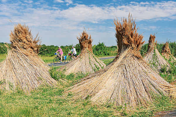 Neusiedler-See-Radweg