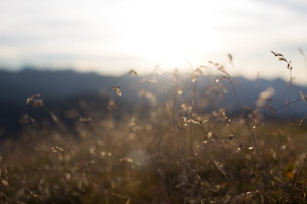 Auf der Nockspitze am Morgen