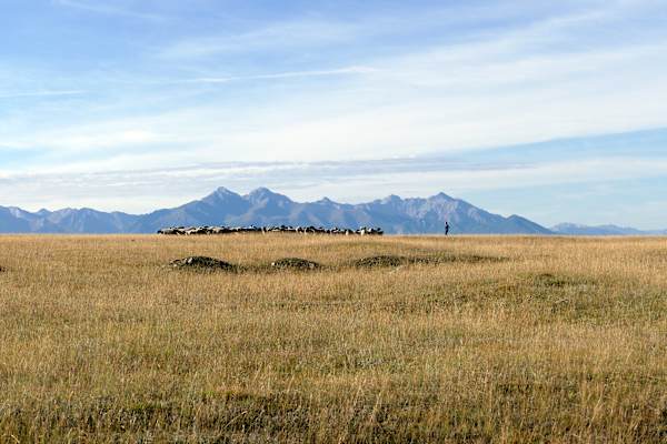 Trekking Wandern Mongolei