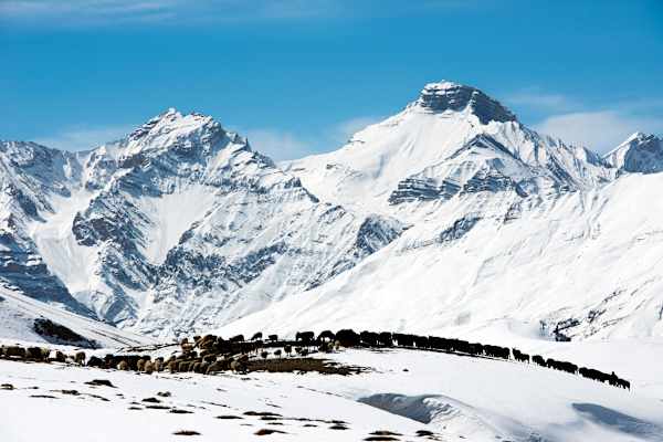 Über den Wolken: Himalaya