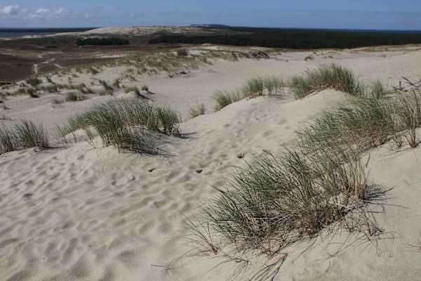 Kurische Nehrung Reise