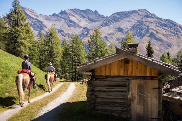 Beim Pferdetrekking im Tauferer Ahrntal in Südtirol heißt es aufsatteln und den Alltag hinter sich lassen