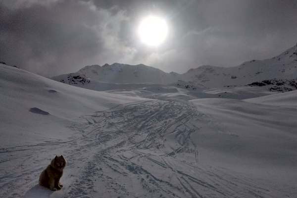 Skitour auf die Maurerspitz im Pflerschtal in Südtirol