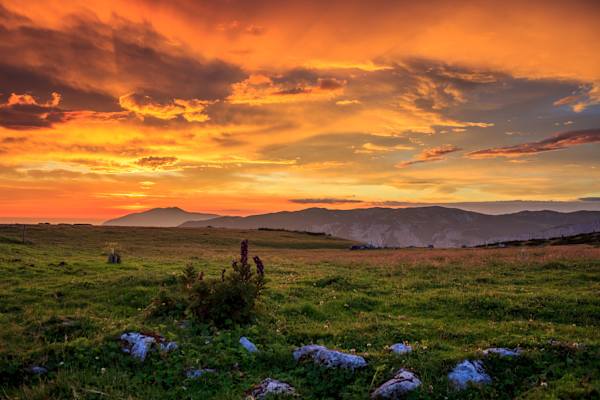 Mathias Kautzky Auf der Alm 