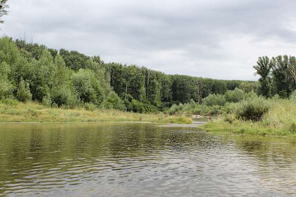 Nationalpark Donau-Auen