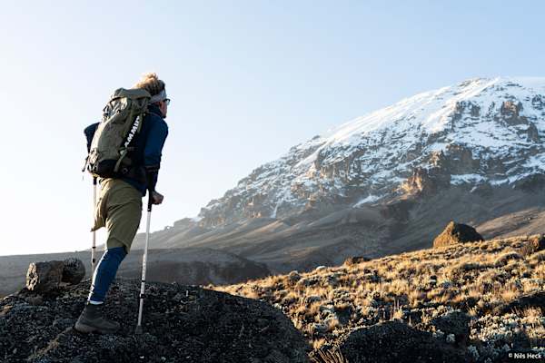 Mbuzi Dume – Strong Goat