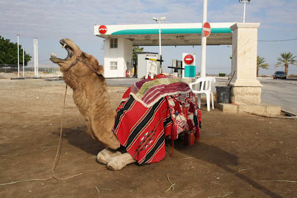 Wüstenwandern Israel