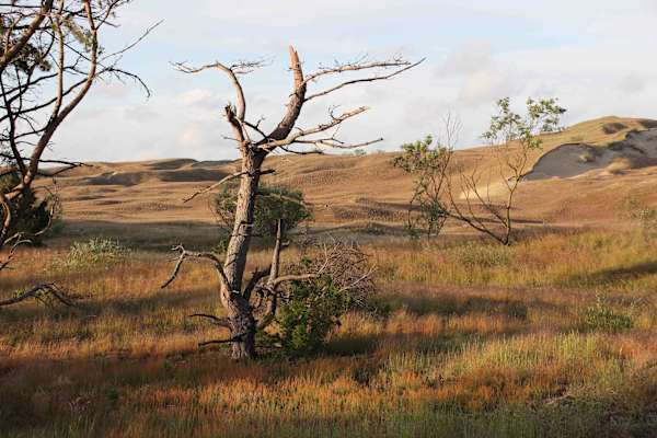 Kurische Nehrung Reise