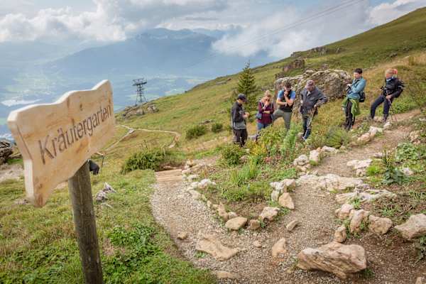 Alpenblumengarten Kitzbühel
