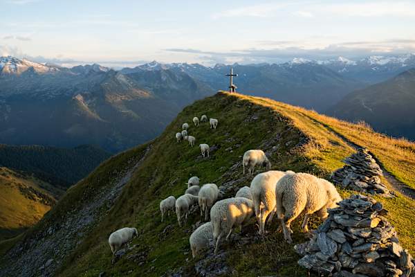 Abendstimmung am Gamskarkogel