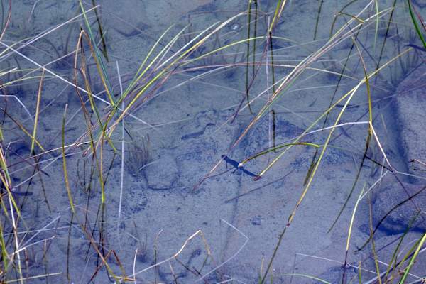 Griechenland Zagoria Trek