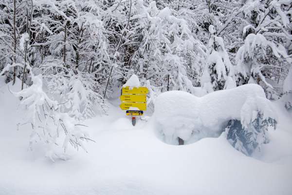 Seefeld Winterweitwanderweg 