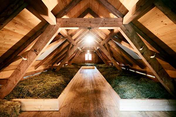 Pilatus in der Schweiz: Alp Unterlauelen