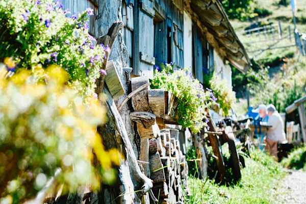 Auf der Lärchenhütte am Zwölferhorn ist der Frühling schon eingekehrt.