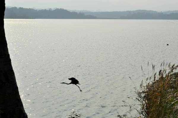 Sokcho Südkorea Seoraksan-Nationalpark