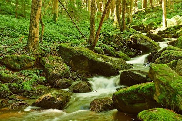 Im Nibelungengau: Weitwandern an der Donau