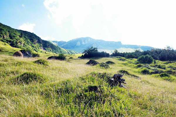 Valsertal: Bergmahd Öfen