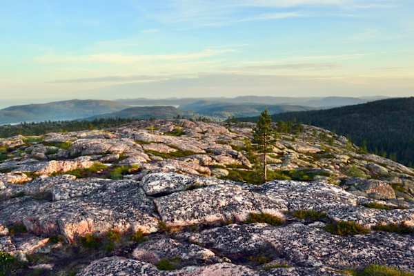 Nationalpark Skuleskogen