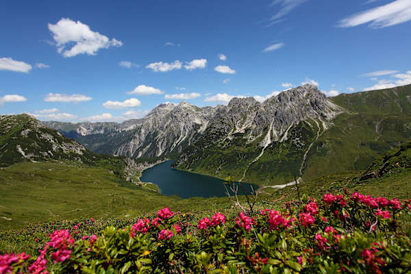 Weitwandern: Der Salzburger Almenweg
