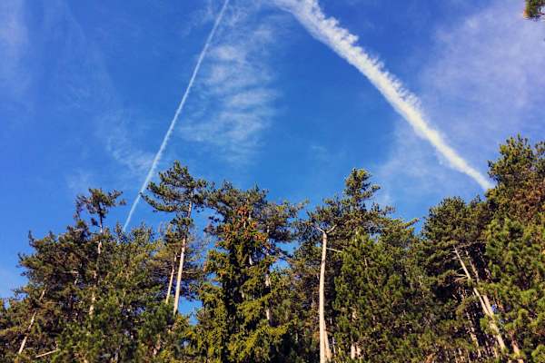 Flatzer Wand - Gösing