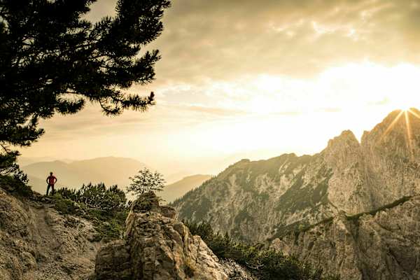 Abendlicht im Krautgartl beim Buchsteinhaus im Gesäuse