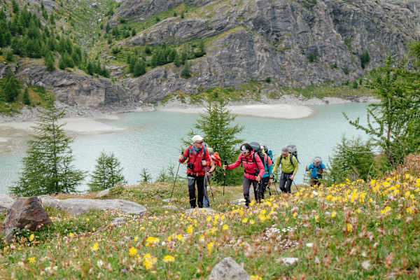 Klaus Haselböck und Gerlinde Kaltenbrunner schwimmen durch das Blumenmeer