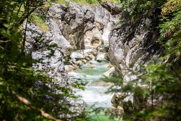 Sicht durch Bäume auf das grünen Wasser der Kaiserklamm bei Brandenberg in der Ferienregion Alpbachtal.
