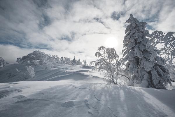 Die Sonne lässt sich während dem japanischen Winter selten blicken, aber wenn doch zeigt sich die Winterlandschaft Kiroros von ihrer schönsten Seite