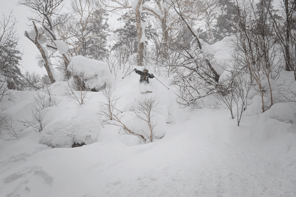 Josh mit einem weiteren Pillowdrop in den Wäldern Kiroros