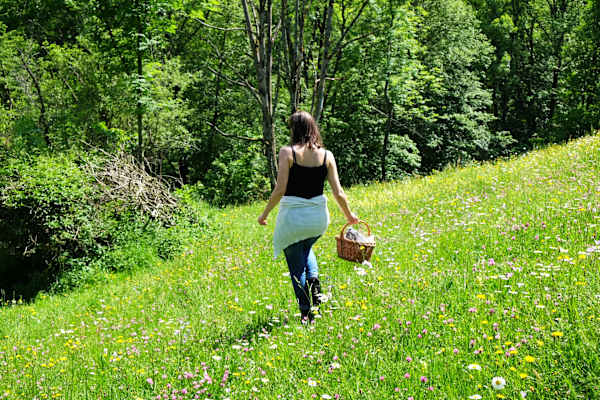 Kräuterwandern: Valerie Jarolim auf der Suche nach Kräutern