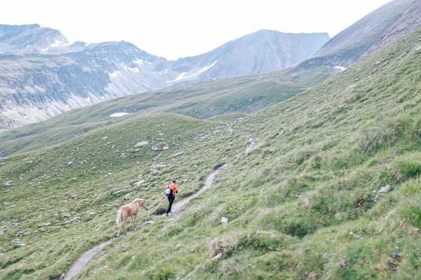 Im wunderbar einsam-grünen Leitertal, der Aufstieg von der Kärntner Seite