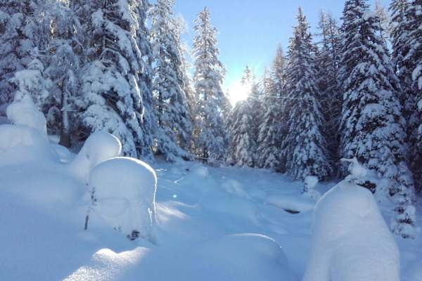 Lungau: Radstädter Tauern in Salzburg
