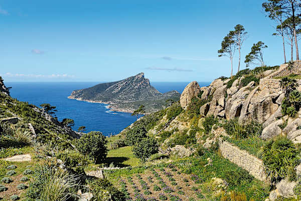 Der Kräutergarten von La Trapa