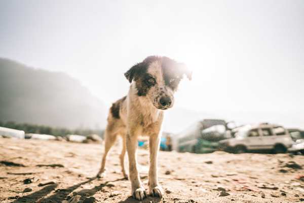Indien Sri Lanka Fotostrecke