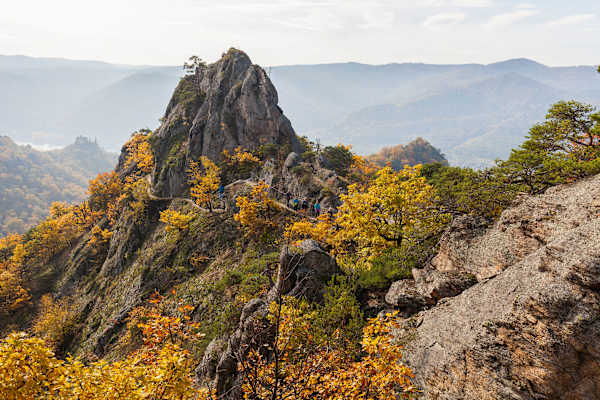 Der Vogelbergsteig bei Dürnstein