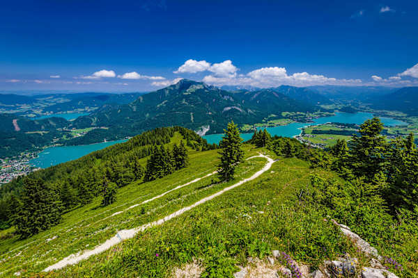 Blick vom Zwölferhorn auf den Wolfgangsee mit St. Gilgen und den Schafberg