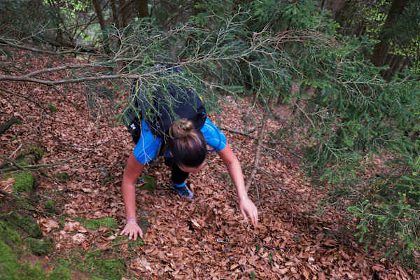 Nationalpark Kalkalpen: Streifzug durch die Wildnis