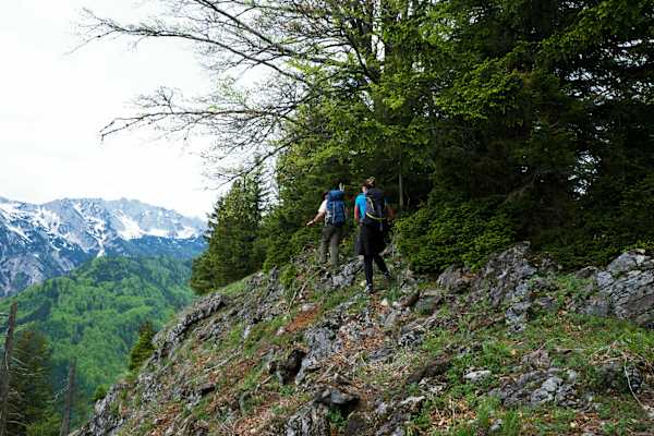 Nationalpark Kalkalpen: Streifzug durch die Wildnis